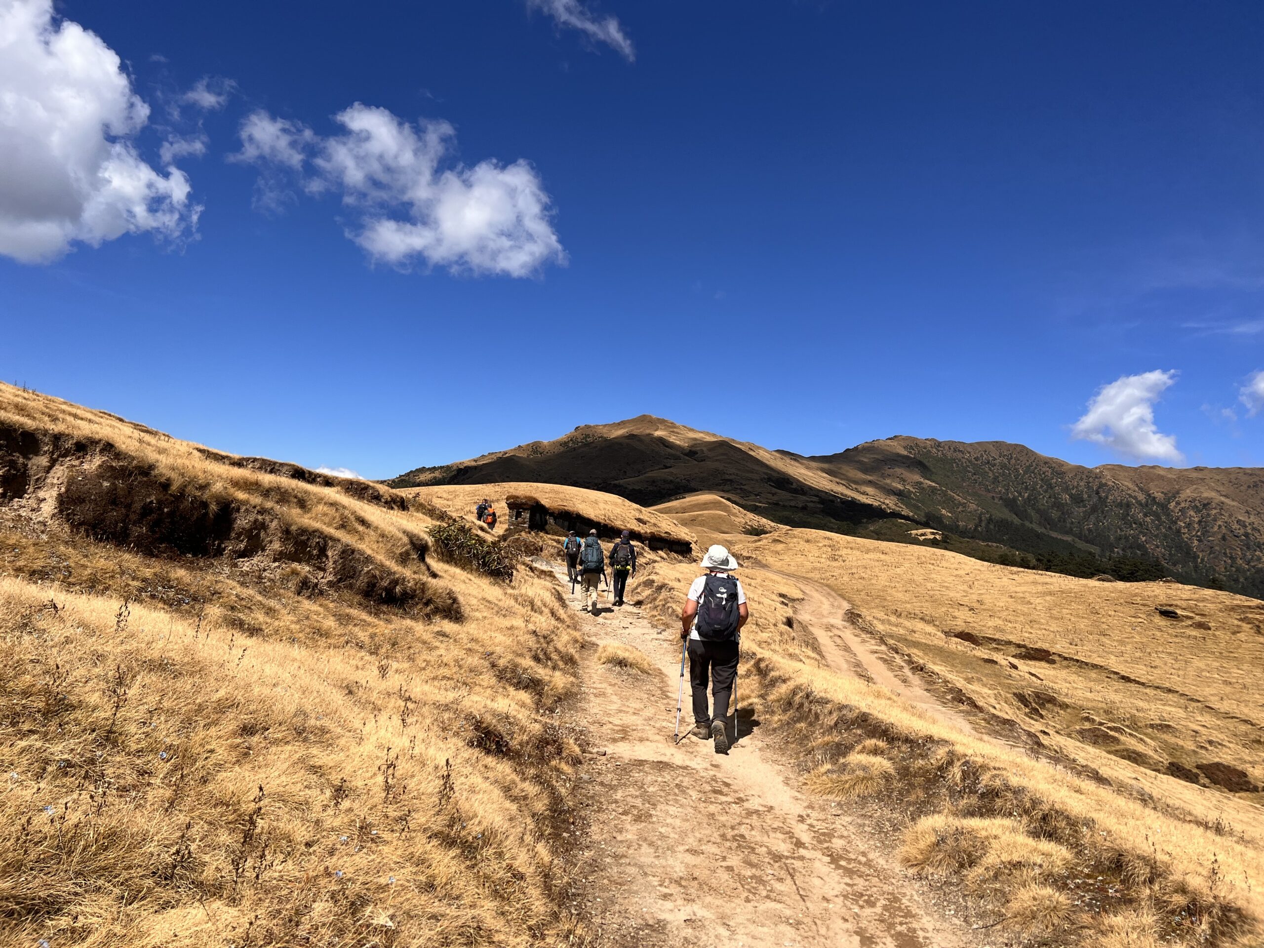 guestswalking