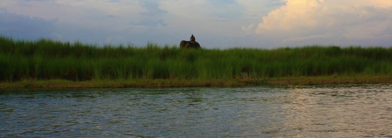 IMG_8840-1